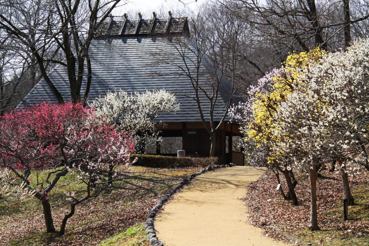 Ikoi No Mura Heritage Minoyama Minano Eksteriør bilde
